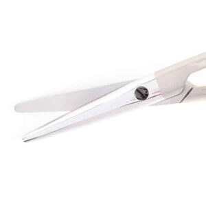 Cottle Dorsal Scissors